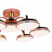 Потолочная люстра Ledante F-Promo LED 2473-7P