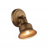 Спот Clochette Favourite 2024-1W