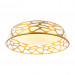 Подвесная люстра Arcanum Favourite 48W 2507-5PC