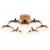 Потолочная люстра Ledante F-Promo LED 2473-7P