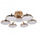 Потолочная люстра Ledante F-Promo LED 2473-7P