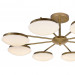 Потолочная люстра Ledante F-Promo LED 2476-8P