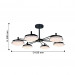 Потолочная люстра Ledante F-Promo LED 2470-6P