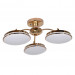 Потолочная люстра Ledante F-Promo LED 2473-3P