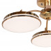 Потолочная люстра Ledante F-Promo LED 2473-3P