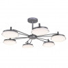 Потолочная люстра Ledante F-Promo LED 2471-6P