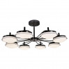 Потолочная люстра Ledante F-Promo LED 2470-8P