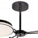 Потолочная люстра Ledante F-Promo LED 2470-3P