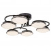 Потолочная люстра Ledante F-Promo LED 2478-6U