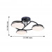 Потолочная люстра Ledante F-Promo LED 2478-3U