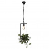 Подвесной светильник Situla Favourite 1975-1P