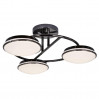 Потолочная люстра Ledante F-Promo LED 2478-3U