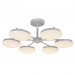 Потолочная люстра Ledante F-Promo LED 2475-6P