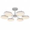 Потолочная люстра Ledante F-Promo LED 2475-6P