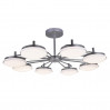 Потолочная люстра Ledante F-Promo LED 2471-8P