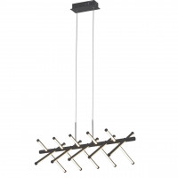 Подвесная люстра Carcass Favourite LED 60W 2382-10P