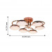 Потолочная люстра Ledante F-Promo LED 2477-6U