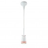 Подвесной светильник Taddy Bears Favourite LED 5W 2449-1P