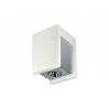 Накладной светильник Architect Loft IT OL1073-WН