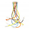 Потолочная люстра Eye Loft It 8*40W Е14 мульти LOFT1714-RGB
