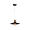 Подвесной светильник Factory filament Loft It 1*60W Е27 черный LOFT1102
