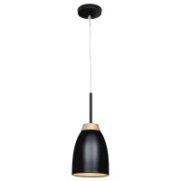 Подвесной светильник Watchman Loft IT LOFT4402A-BL