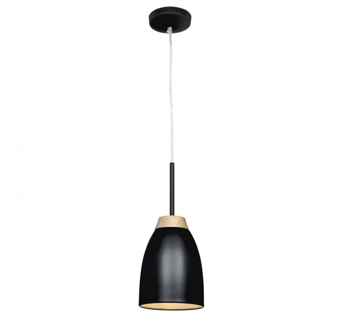 Подвесной светильник Watchman Loft IT LOFT4402A-BL