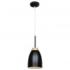 Подвесной светильник Watchman Loft IT LOFT4402A-BL