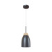 Подвесной светильник Watchman Loft IT LOFT4402A-BL