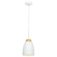 Подвесной светильник Watchman Loft IT LOFT4402A-WH