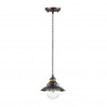 Подвесной светильник Sandrina Odeon Light 1*60W Е27 кофе 3249/1