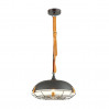 Подвесной светильник Brent Odeon Light 1*60W Е27 черный 4151/1