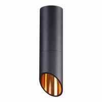 Потолочный светильник Prody Odeon Light IP54 черный 4209/1C