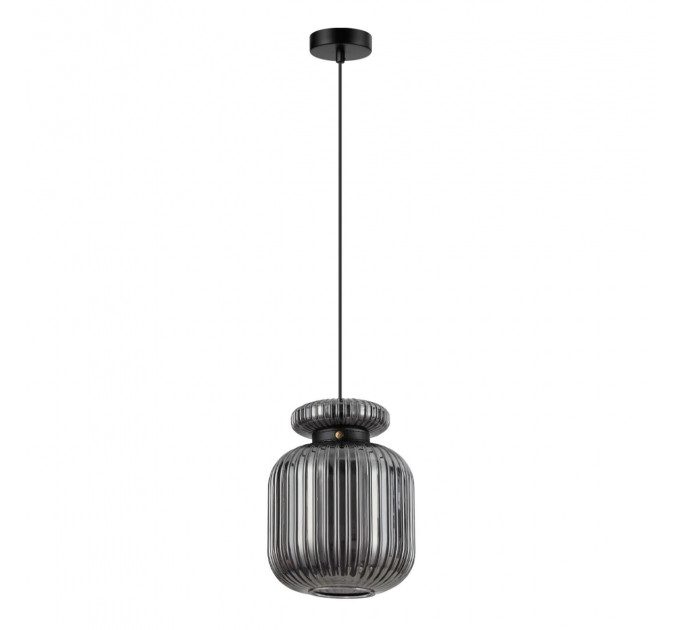 Подвесной светильник Odeon Light Jugi 5042/1B