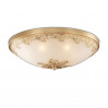Потолочный светильник Alesia Odeon Light 7*40W G9 2676/7C