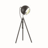 Настольная лампа Eseo Odeon Light 1*40W Е27 черный 3383/1T