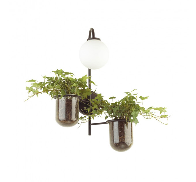 Настенный светильник Flower Odeon Light 1*40W Е14 4681/1W