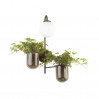 Настенный светильник Flower Odeon Light 1*40W Е14 4681/1W