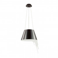 Подвесной светильник Maestro Odeon Light 1*60W Е27 черный 3979/1