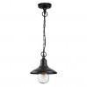 Подвесной уличный светильник Campa Odeon Light 4965/1