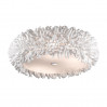 Потолочный светильник Esma Odeon Light 6*20W 2755/6C