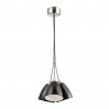 Подвесной светильник Trina Odeon Light 3*60W Е27 черный 3974/3