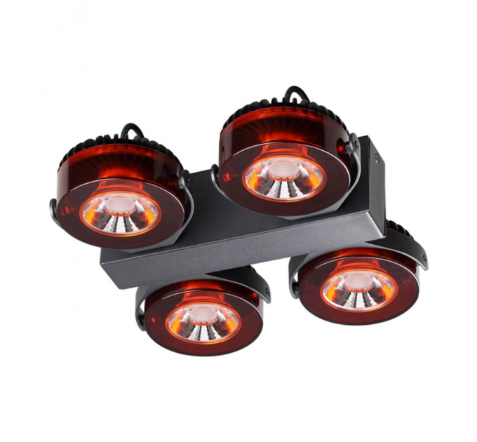 Потолочный светильник Vivace Odeon Light LED 40W 3818/40CL