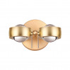 Настенное бра Ottico Odeon Light LED 2*20W золотистый 3874/40WL