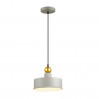 Подвесной светильник Bolli Odeon Light 1*40W Е27 золото/серый 4089/1