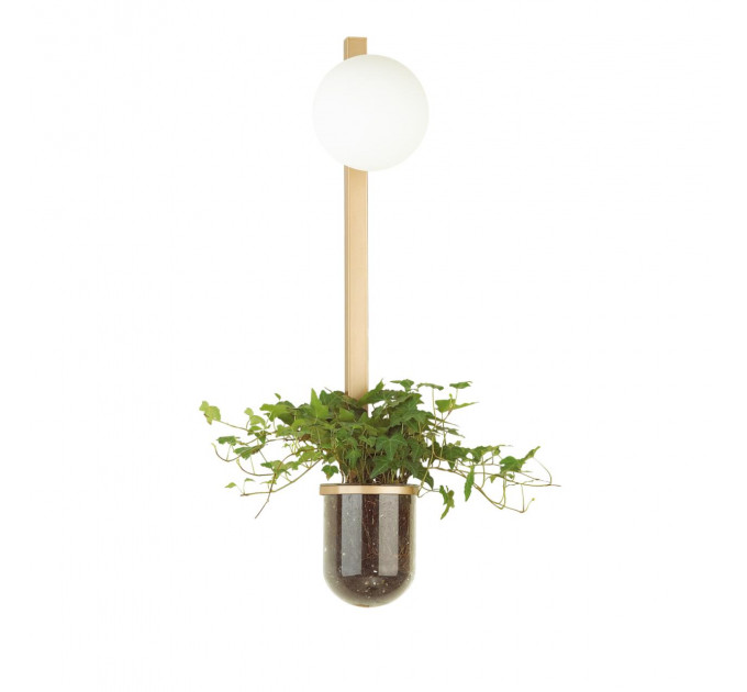 Настенный светильник Flower Odeon Light 1*40W Е14 4682/1WB