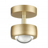 Потолочный светильник Ottico Odeon Light 4347/7CL