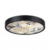 Потолочный светильник Bergi Odeon Light 5064/24L
