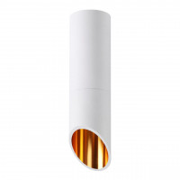 Потолочный светильник Prody Odeon Light IP54 белый 4210/1C