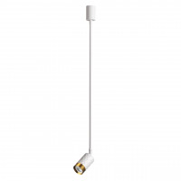 Подвесной светильник Astrum Odeon Light 4350/1C